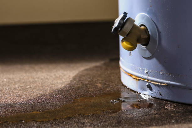 Best Carpet water damage restoration  in Wekiwa Springs, FL