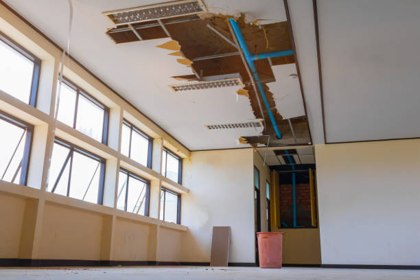 Best Water damage restoration near me  in Wekiwa Springs, FL