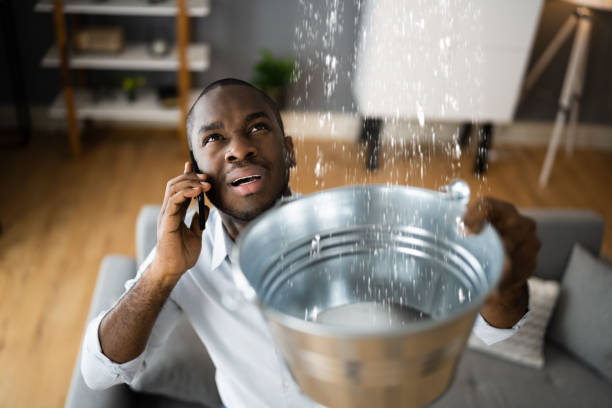 Trusted Wekiwa Springs, FL Water damage restoration Experts