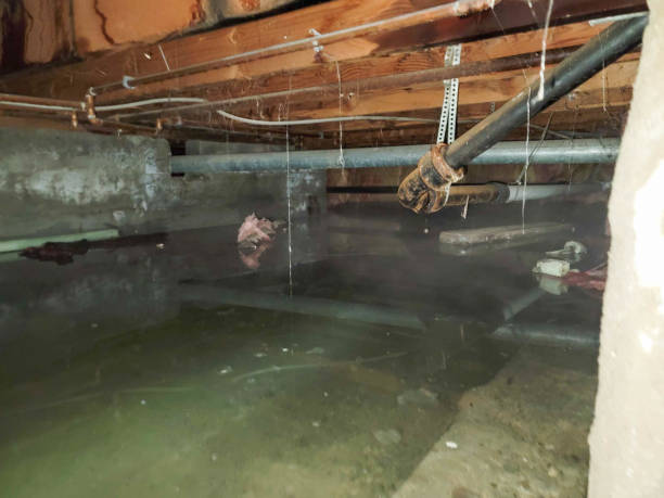 Fire Damage Restoration in Wekiwa Springs, FL