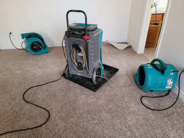 Best Ceiling water damage repair  in Wekiwa Springs, FL