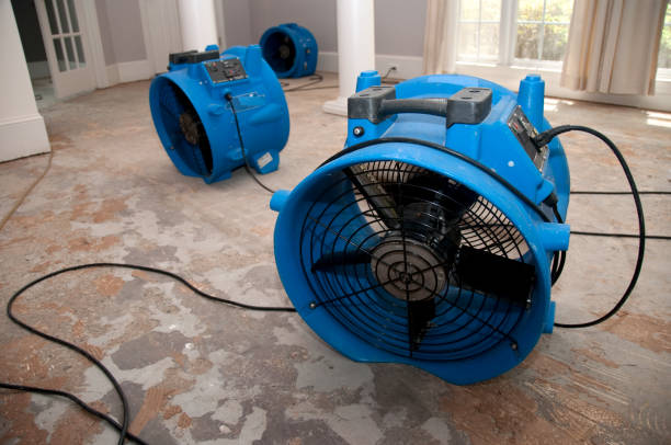 Best Residential water damage restoration  in Wekiwa Springs, FL