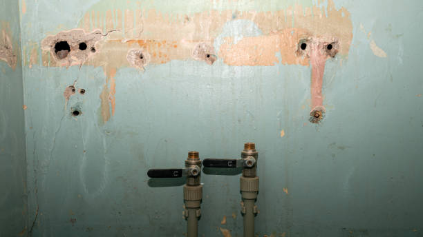 Best Water damage contractors near me  in Wekiwa Springs, FL