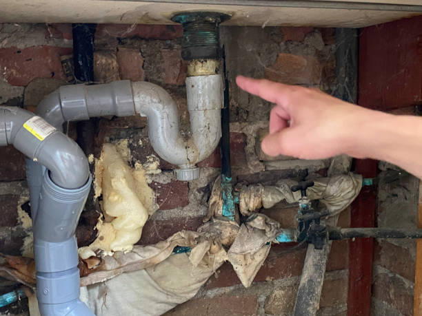 Best Water damage restoration cost  in Wekiwa Springs, FL